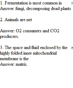 Chapter 6 Quiz